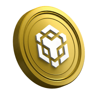 Beginner trader guide page featuring BNB cryptocurrency